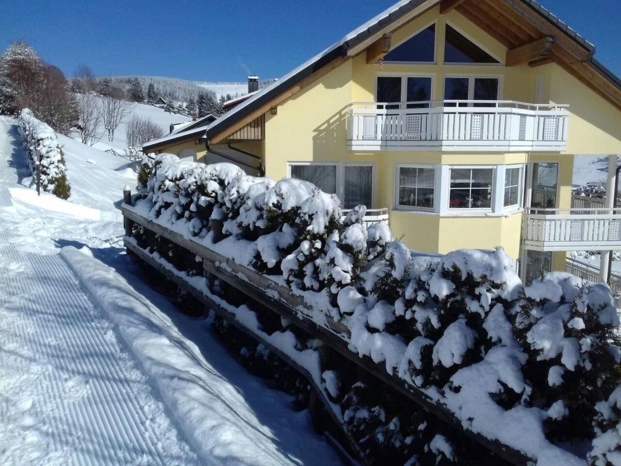 "Schwarzwaldblick" Ferienwohnung 2-4 Pers 65Qm, Schoene Ruhige Suedhanglage Mit Herrl Aussicht Todtnau Exterior foto