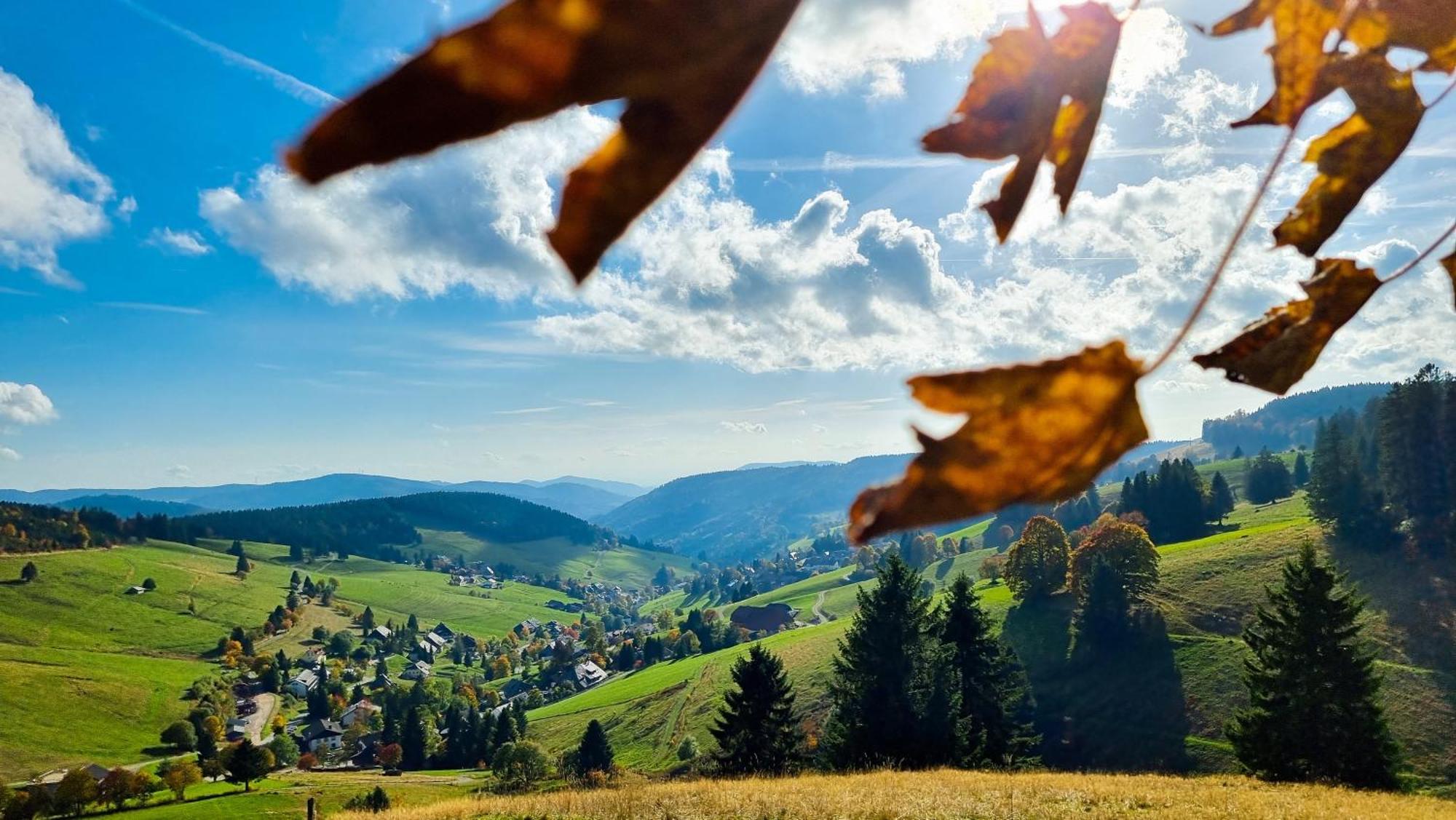 "Schwarzwaldblick" Ferienwohnung 2-4 Pers 65Qm, Schoene Ruhige Suedhanglage Mit Herrl Aussicht Todtnau Exterior foto
